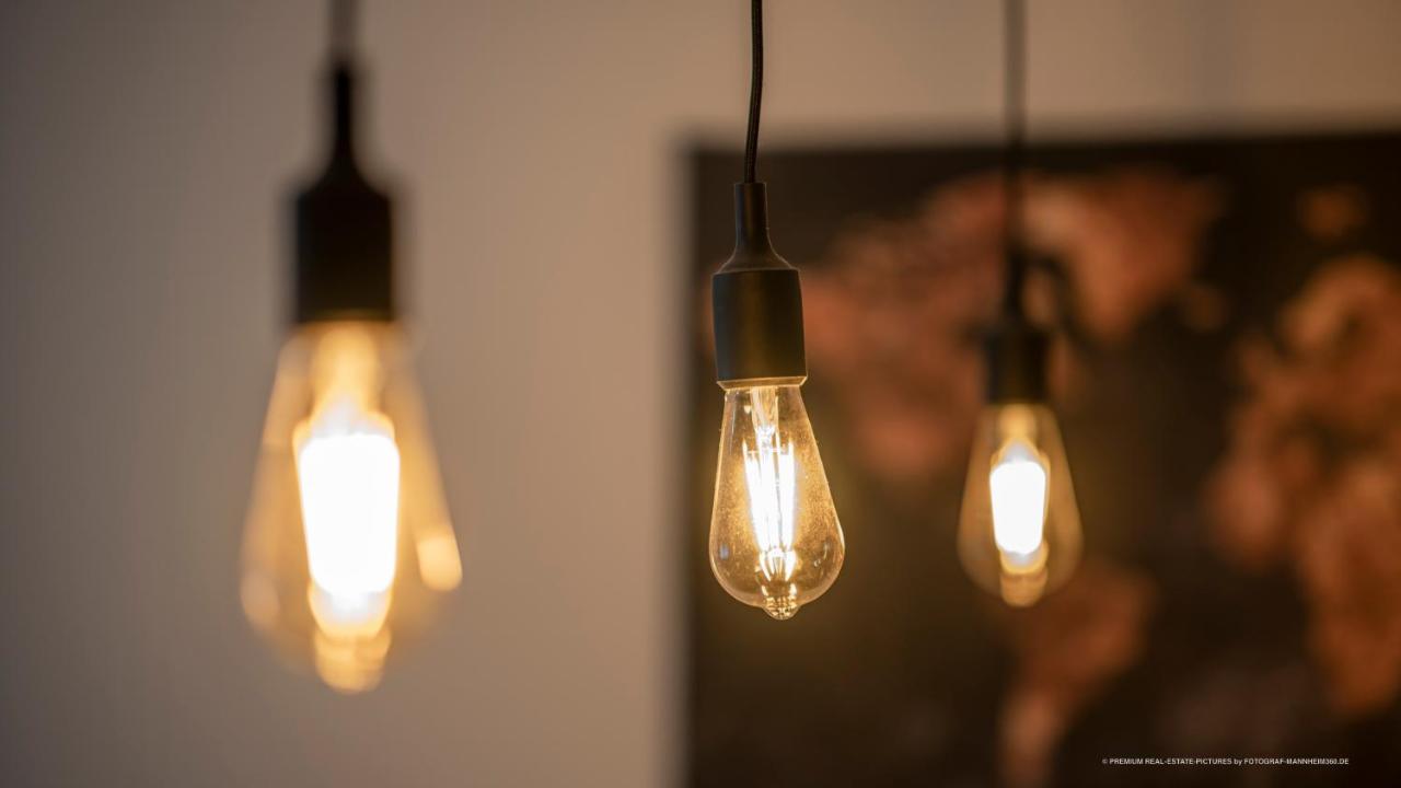 Apartment Flair: Stylisches - Netflix - Basf - Uni Mannheim Ludwigshafen am Rhein