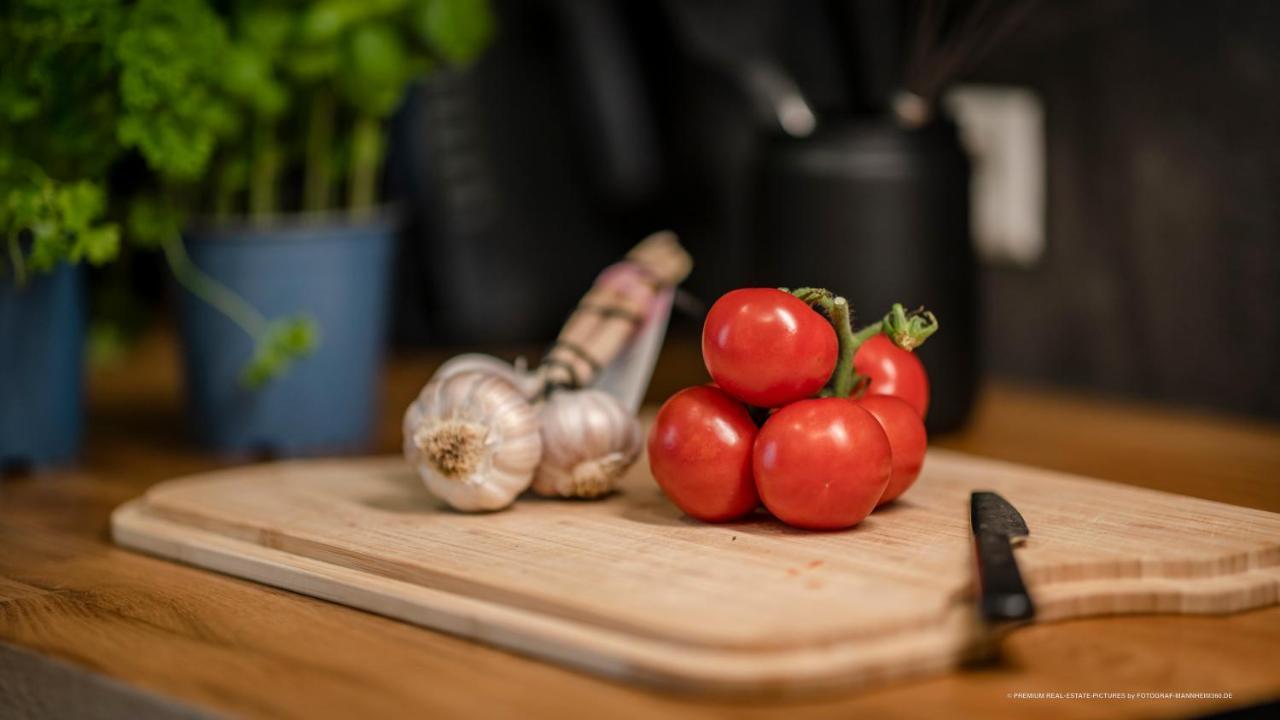 Flair: Stylisches - Netflix - Basf - Uni Mannheim Apartament